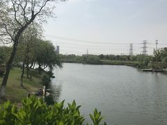 -九里河湿地公园