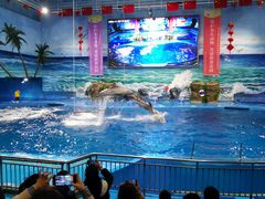 -多彩贵州城极地海洋世界