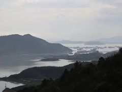 -黄贤森林公园