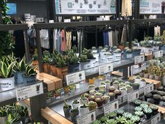 -鹿岛生活(熙地港店)