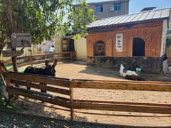 -HERRE·FARM 赫尔露营农场·团建聚会包场