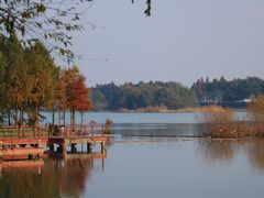 -贡湖湾湿地公园