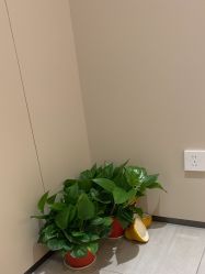 -深圳鹏爱秀琪医疗美容医院