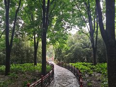 -月坛公园