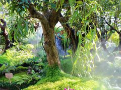 -Chom Cafe and Restaurant