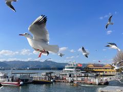 -海埂大坝