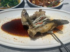 -绿波廊(豫园店)