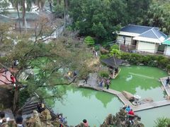 -鼓浪屿钢琴博物馆