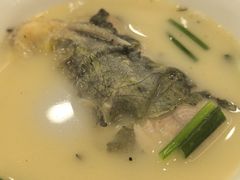 -岩泊渡桂鱼楼活鱼馆