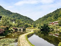 -桃花岭景区