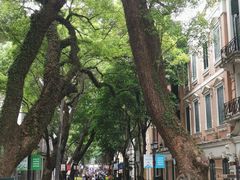 -星巴克臻选(广州沙面店)