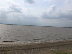 -呼兰河口湿地公园