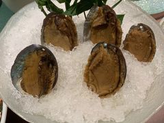 手工冰镇鲍鱼-木棉·醉心粤味(COCO Park店)