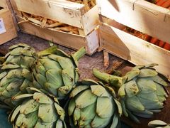 -乐蓬马歇百货公司(Rive Gauche)