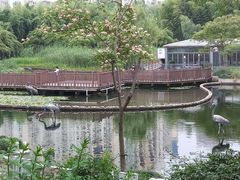 -苏州河梦清园环保主题公园