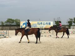 -松声马术俱乐部