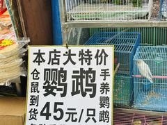 -溪岸路花鸟市场