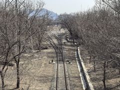 -白水寺森林公园