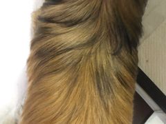 -喵汪宠物生活馆(涞坊路店)