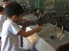 -千龙湖生态旅游度假区