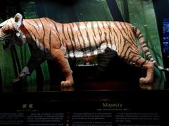 -绮丽珊瑚(台北101旗舰门市店)