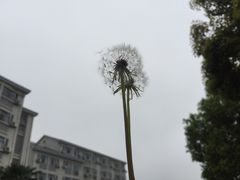 -江南大学(蠡湖校区)