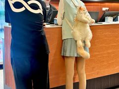 -江味龙虾馆·裸蓝龙虾(南山店)
