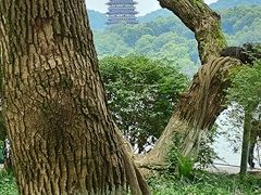 -西湖游船