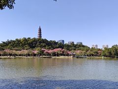 -顺峰山公园