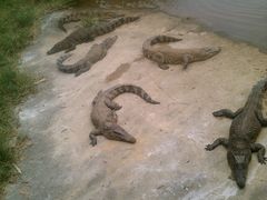 -广东茂名森林公园