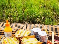 -永定河休闲森林公园