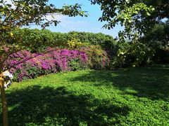 -梧桐山风景名胜区