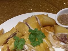 -金龙寨(龙城路店)