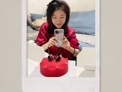 -BLACKSWAN黑天鹅(环球店)