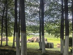 -滨湖塘西河公园