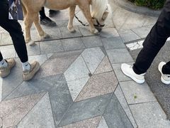 -晚归月亮湾私家菜(临邑路店)