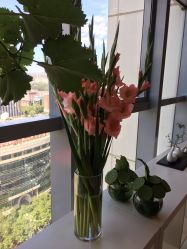 -北京米扬丽格医疗美容·联合丽格鼻整形中心