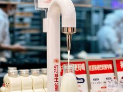 -红星前进面包牛奶公司(君太店)