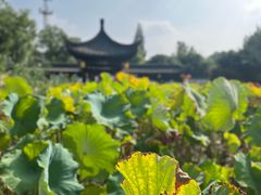 -丝绸小镇荻港古村