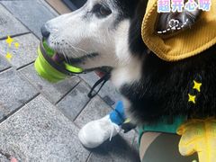 -瑞虹新天地月亮湾