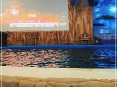 -华夏文旅海洋公园