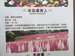-保利石象湖景区
