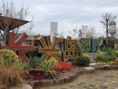 -上海长兴岛郊野公园