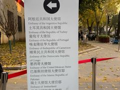 -三里屯东五街银杏大道