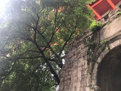 -东水门老街