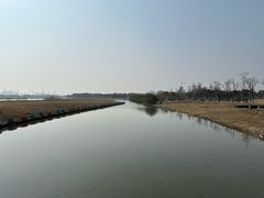 -春花秋色城市公园