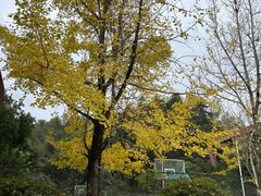 -全国青少年井冈山革命传统教育基地