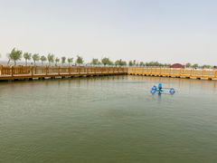 -卧龙湖