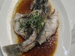 -旭璟酒家·传统粤菜·湘菜(逸景路店)