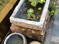 -新竹里馆·花园餐厅(兴苑路店)